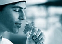 haccp
